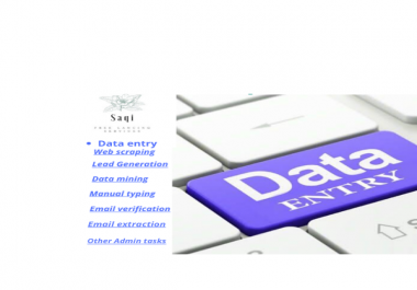 I will do fast data entry,  email extraction,  data mining,  web research