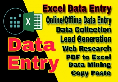 I will provide data entry service