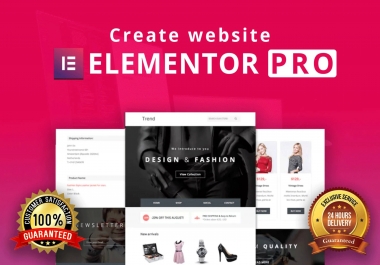 Manually Build WordPress Website Design Using Elementor Pro within 24 hrs for