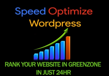 i will speed up wordpress site professionally in 24 hours