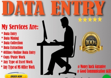 I Will do all kind of Data Entry work along with Internet Reseaarches