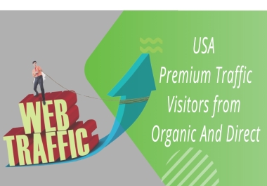 2200 USA Premium Traffic Visitors from Organic And Direct