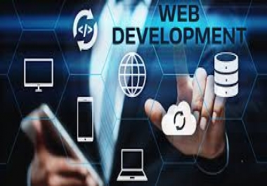 Professional website development