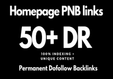 Build 100 PBN high quality DR 50+ dofollow authority backlinks