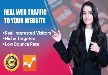 I will drive real human visitors targeted traffic