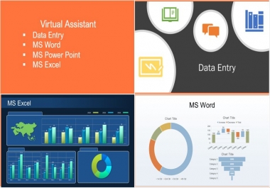 I am Virtual Assistant looking to provide you data entry & Administrative services.