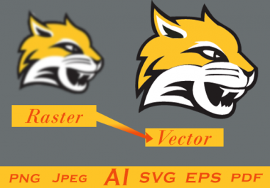 Vector Tracing or Redesigning of an Image