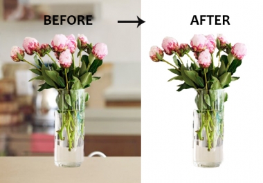 I will remove background 20 images profissionaly