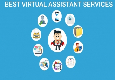 I will be your virtual assistant for data entry work