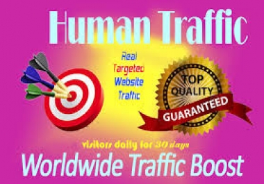 300,000 Web Worldwide,  organic Traffic Visitors YouTube Twitter instagram LinkedIn