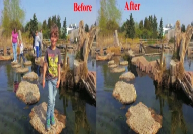 add text or logo and watermark also remove background your photo