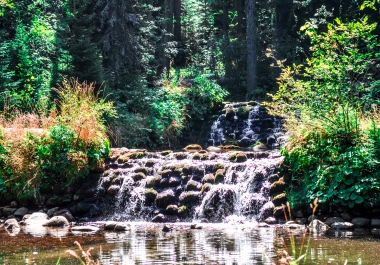 Can Edit/Enhance/Photoshop Images for your Social Media/Workplace Other