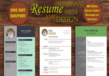I will provide professional resume writing and CV design services