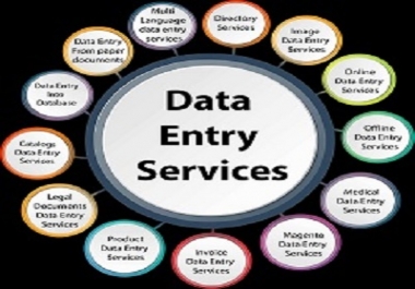 I am expert in Data entry services and virtual assistant