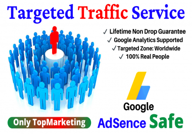 40,000 USA Website Traffic,  Visitor to Your Web or Blog Site