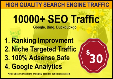 I will send 10,000 Visitors low bounce natural web traffic,  from the USA