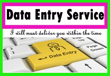 I Will complete Data Entry Work As Given Time And Satisfy The Customer
