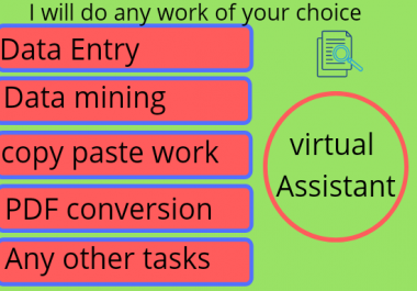 i will be your virtual assistant for data entry