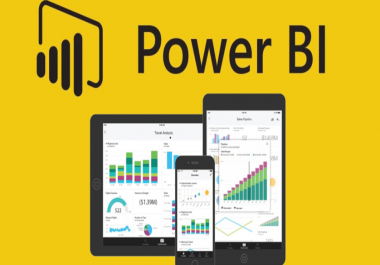 I will create professional power bi reports and dashboards