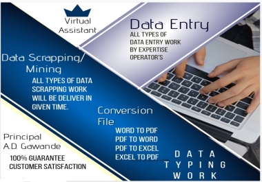 I will provide accurate web scrapping,  data mining,  data entry and data collection