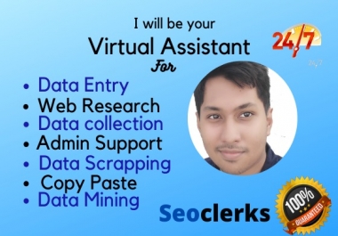 I will be your virtual assistant