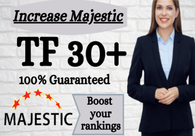 I Will Increase Your Domain URL Majestic TF Trust Flow 30+ Guaranteed With High Authority Backlinks
