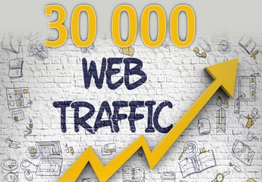 Real organic traffic through search engine 1000+ daily for 1 months