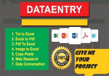 I will do fast data entry for your project