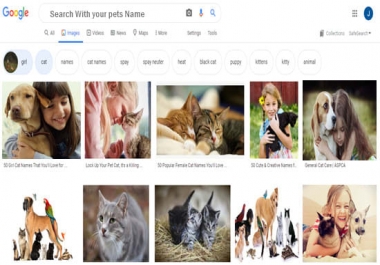 Google image SEO,  show your pets image on google 1 page