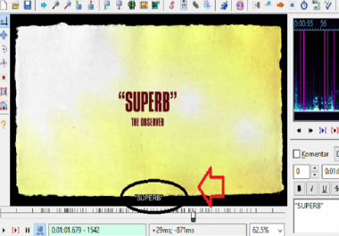 SUBTITLE and traslation services Video Production