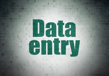I complete data entry projects quickly with high accuracy.