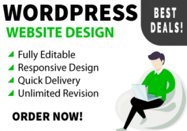 I will create professional wordpress website design