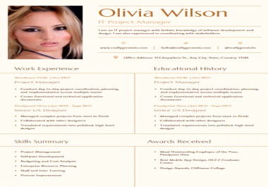 I will do professional HQ infographic and resume