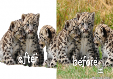 Background removal is one of the great services so i am do work accurately