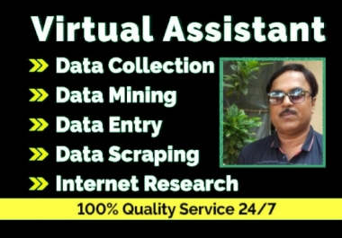 I will do perfect excel data entry,  mining,  web research,  scraping,  email list