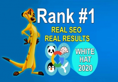 Create 100 Manually 300 Profile High Authority Backlinks-White Hat