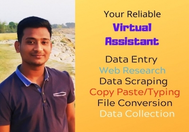 I will be your ideal Virtual Assistant for any Task