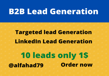 I will Provide you B2B targeted Lead Generation
