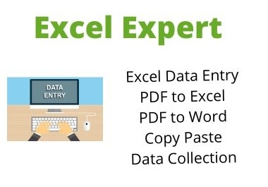 Excel Expert for your business