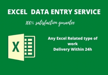 I will do PROFESSIONAL data entry and any excel related type of work in 24 hours