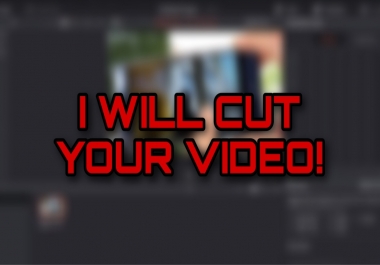 I will edit YOUR video with a professional software