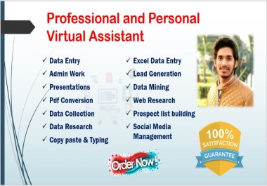 I will be your virtual assistant and will do any type of data entry work