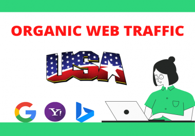 I Will Do Niche Targeted USA Web Traffic