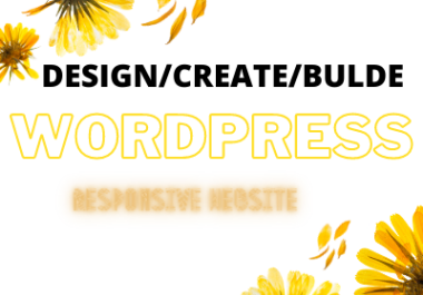 I will design or redesign frofessional wordpress website