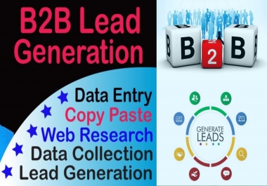 B2B Lead Generation and web Research Professional