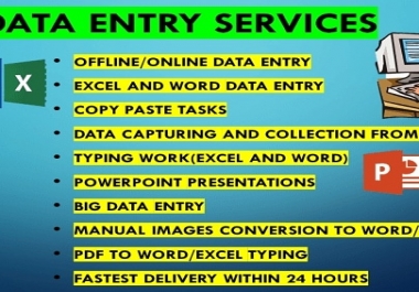 I will provide quality data entry for 20 pages in 3