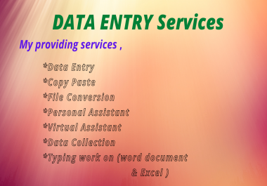 I will be data entry,  excel data entry,  typing,  copy paste work