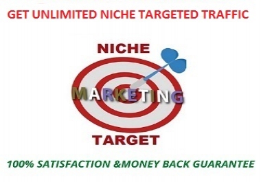 To grow your website traffic get 400 niche targeted traffic.