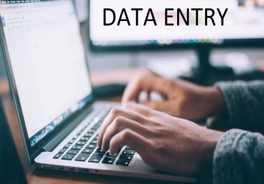 Any Kind of Data Entry in MsWord & MsExcel