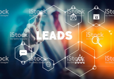 i can generate 200 lead per day in excel format